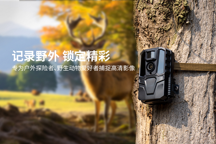 pgӡģ(Ϸ)ٷվģ/ƽ̨